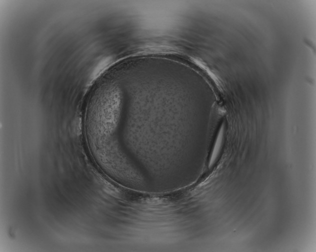 X0000091201459200708231520