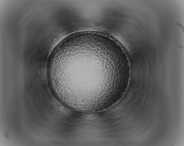 X0000091201460200708231520