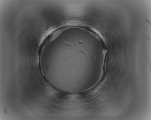X0000091201461200708231520