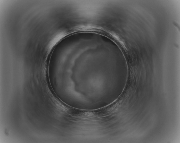 X0000091201463200708231519