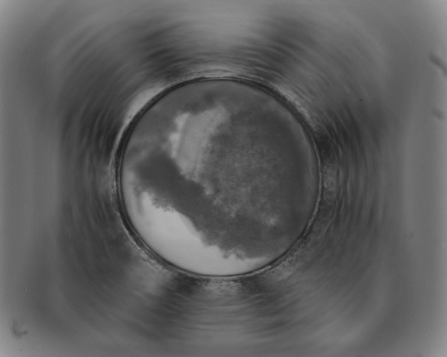 X0000091201466200708231519
