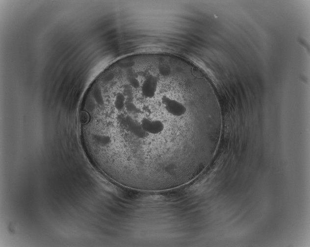 X0000091201467200708231519