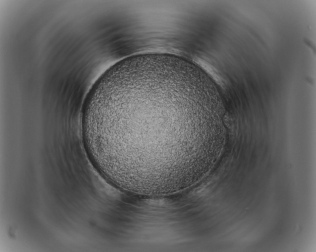 X0000091201468200708231519