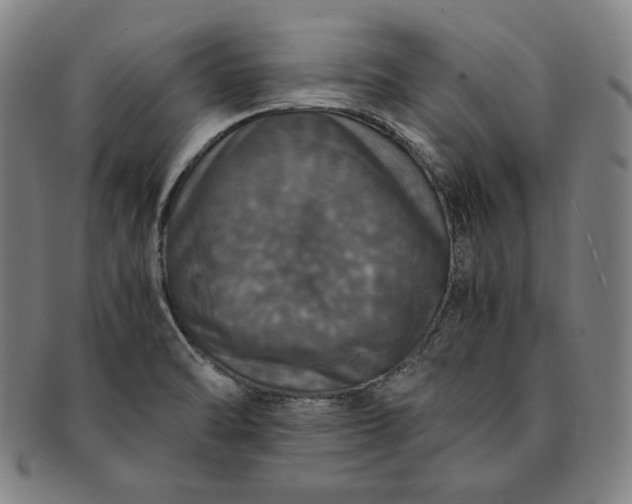 X0000091201470200708231519