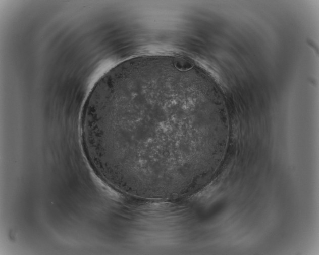 X0000091201471200708231519