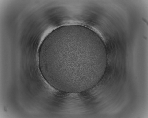 X0000091201472200708231519