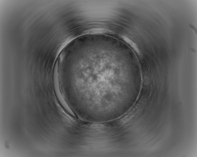 X0000091201473200708231519