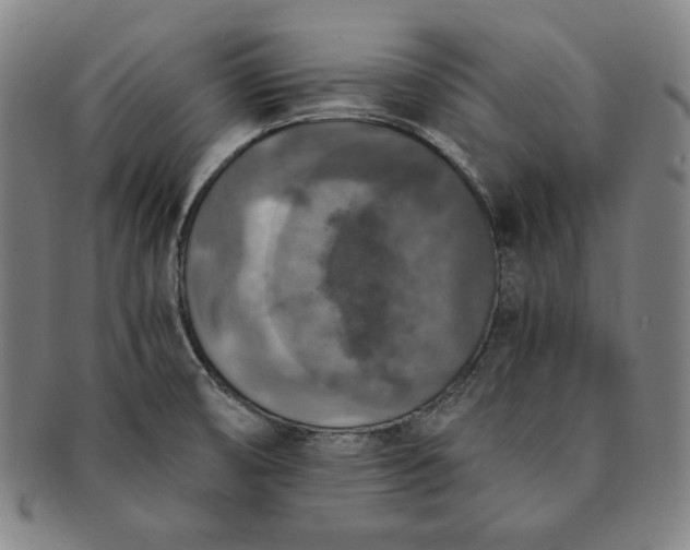 X0000091201474200708231519