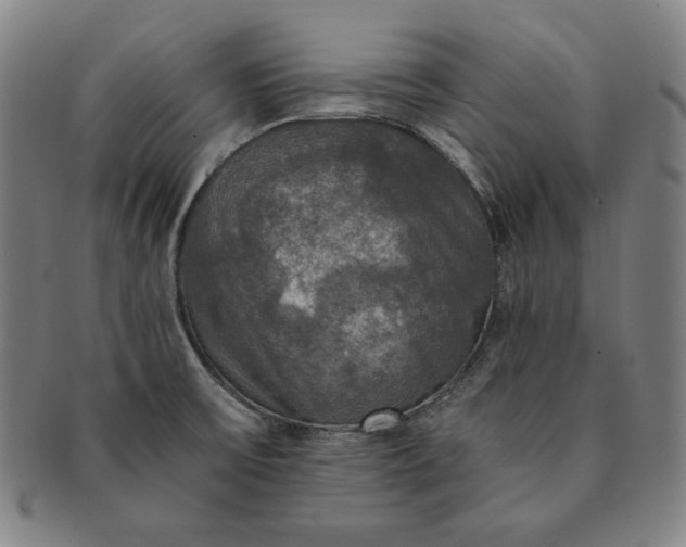 X0000091201475200708231519