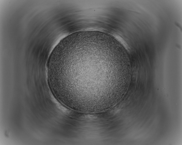 X0000091201476200708231519