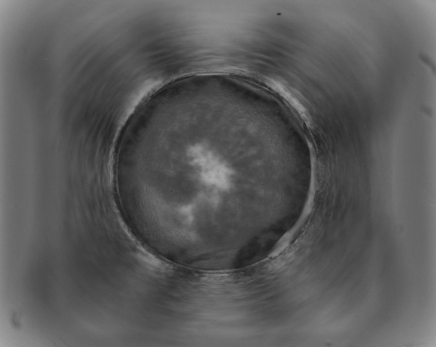 X0000091201477200708231519