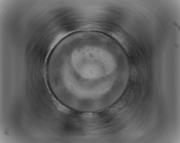 X0000091201478200708231519