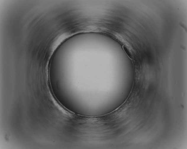 X0000091201479200708231519