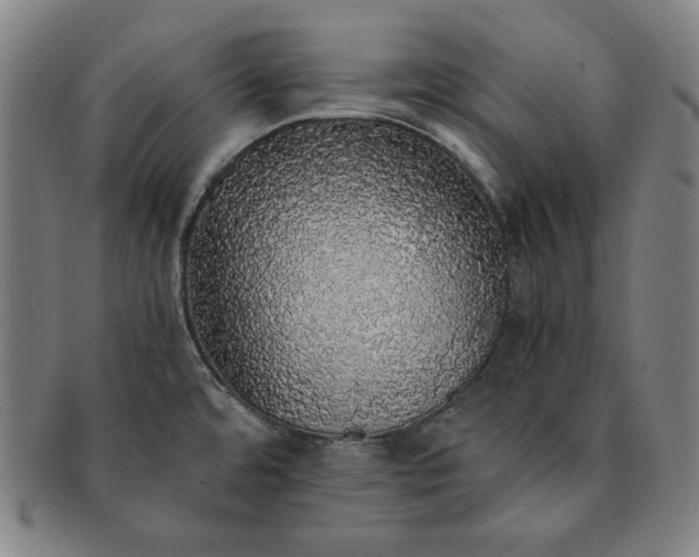 X0000091201480200708231519
