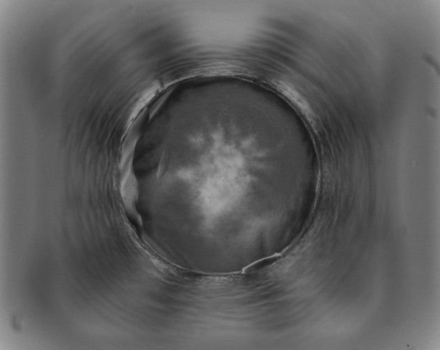X0000091201481200708231519