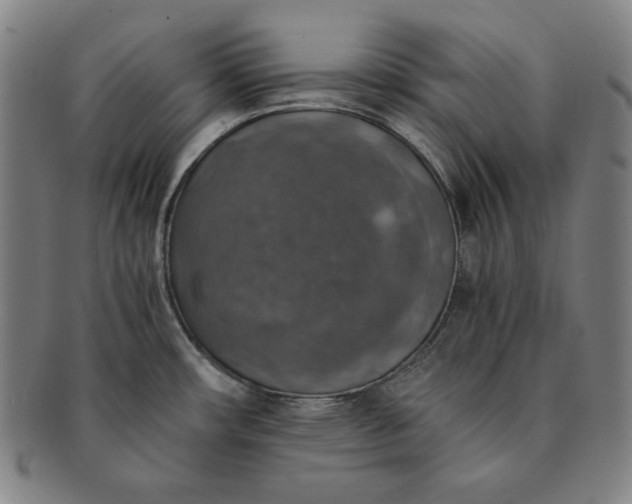 X0000091201482200708231519