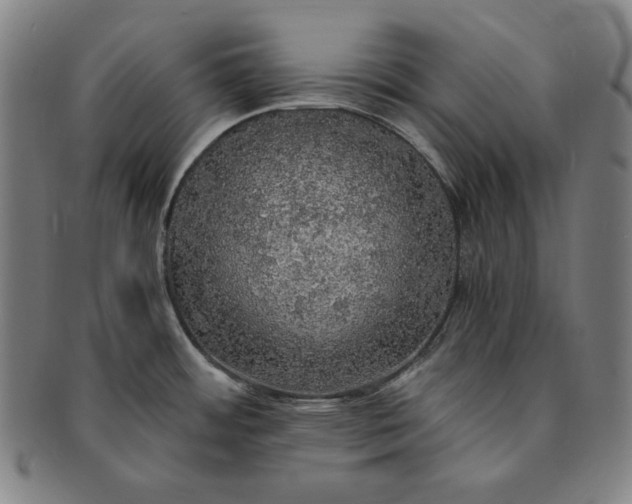 X0000091201484200708231519