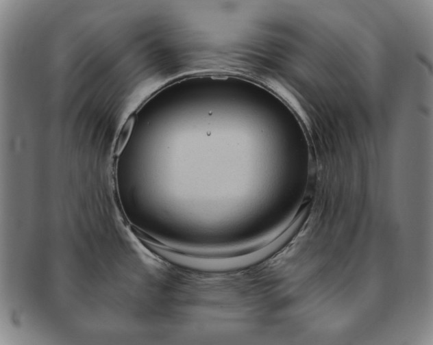 X0000091201485200708231519