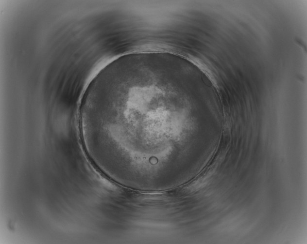 X0000091201486200708231519