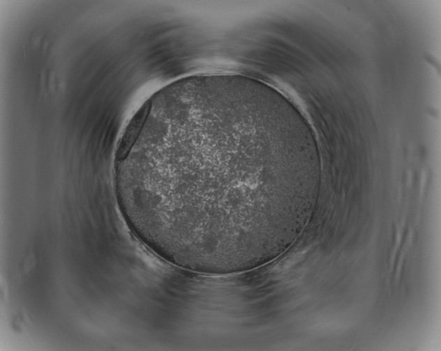 X0000091201488200708231519
