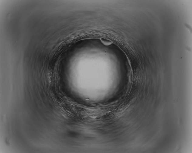 X0000091201490200708231518