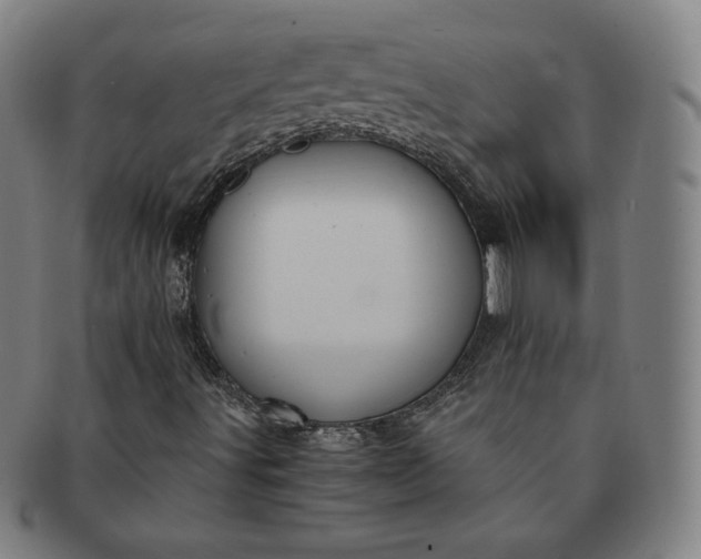 X0000091201491200708231519