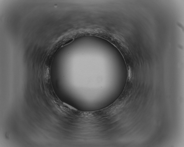 X0000091201492200708231519
