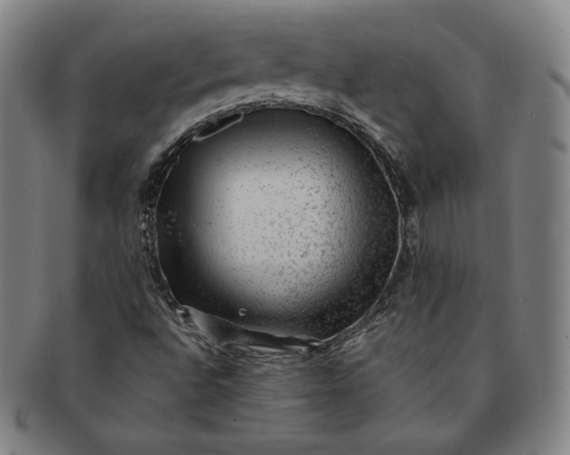 X0000091201496200708231519