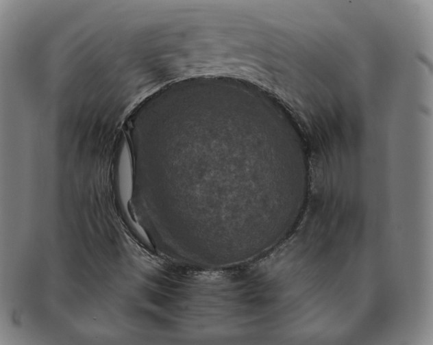 X0000091201497200708231519