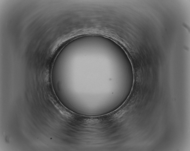 X0000091201499200708231519
