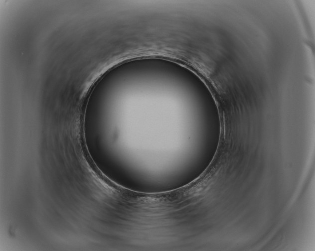 X0000091201500200708231519