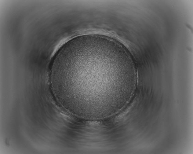 X0000091201501200708231519