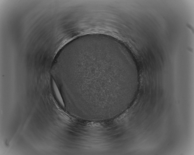 X0000091201505200708231519