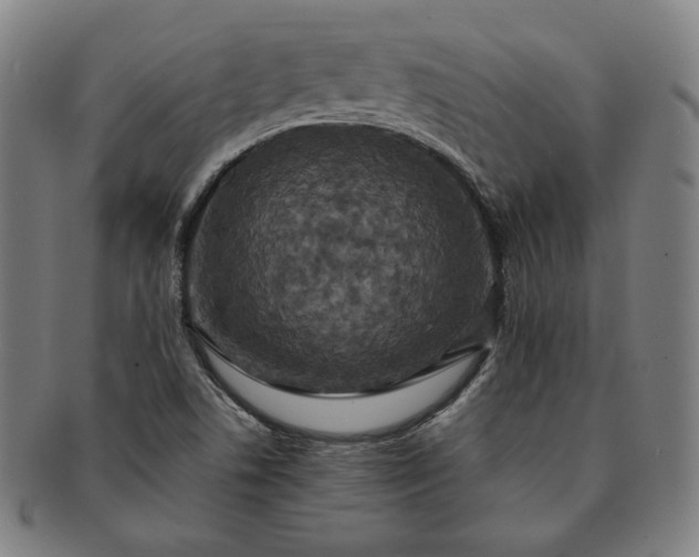 X0000091201506200708231519