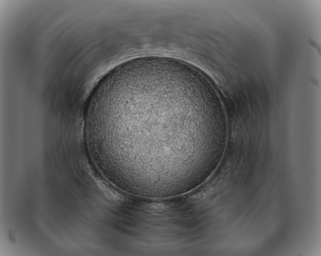 X0000091201507200708231519