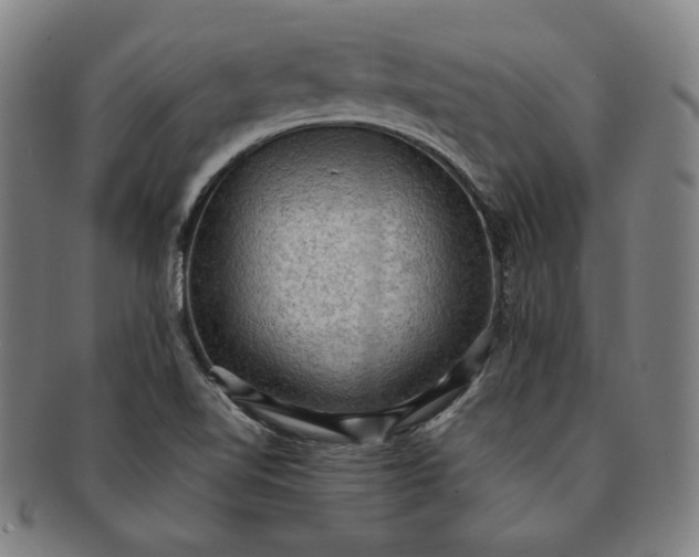 X0000091201510200708231519