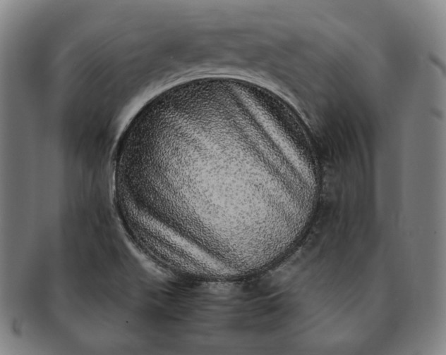 X0000091201511200708231519