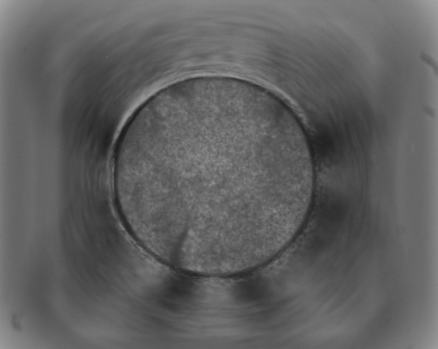 X0000091201514200708231519