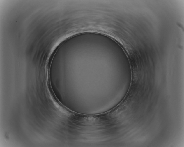 X0000091201515200708231519