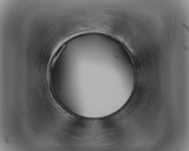 X0000091201516200708231519