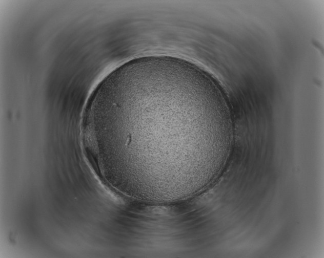 X0000091201517200708231519