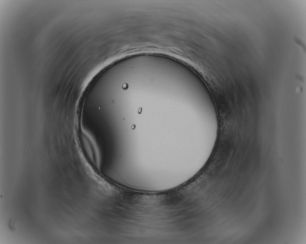 X0000091201518200708231519