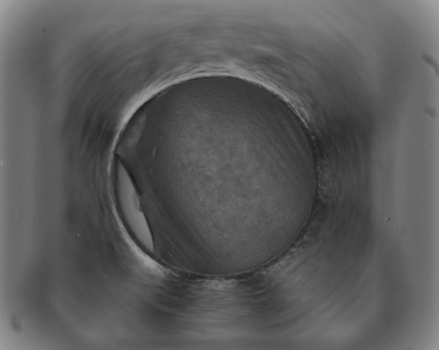X0000091201519200708231519