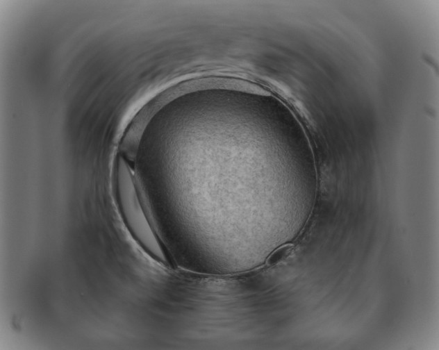 X0000091201520200708231519