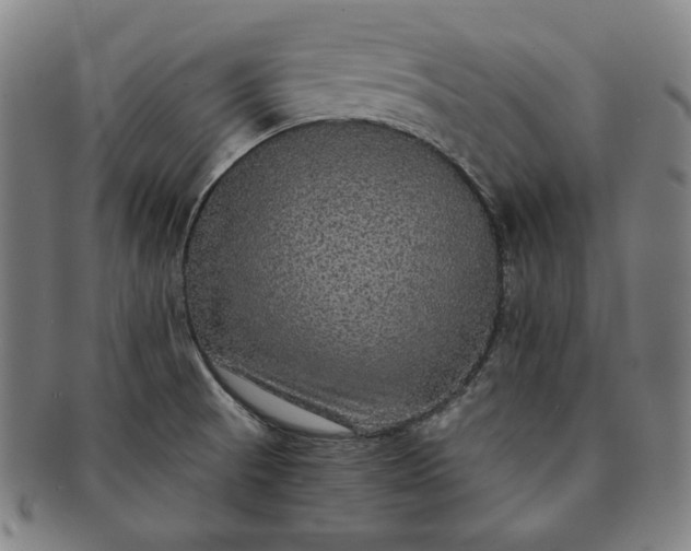 X0000091201521200708231519