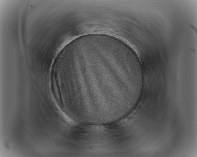 X0000091201525200708231519