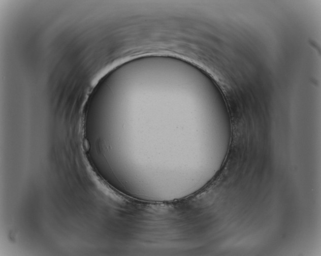 X0000091201526200708231519