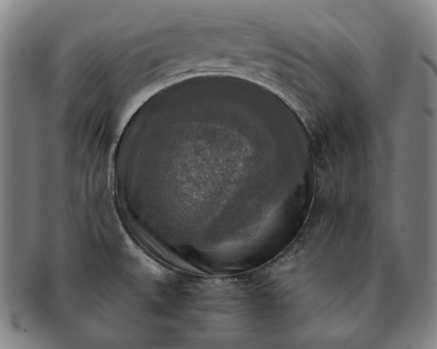 X0000091201527200708231519