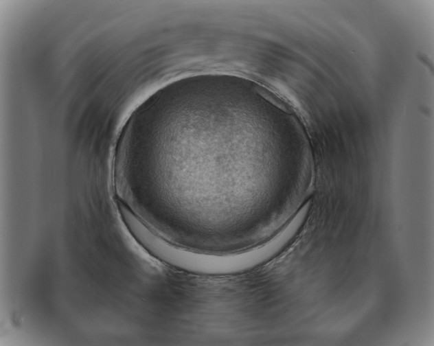 X0000091201528200708231519