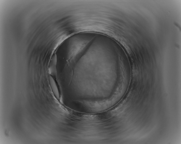 X0000091201529200708231519